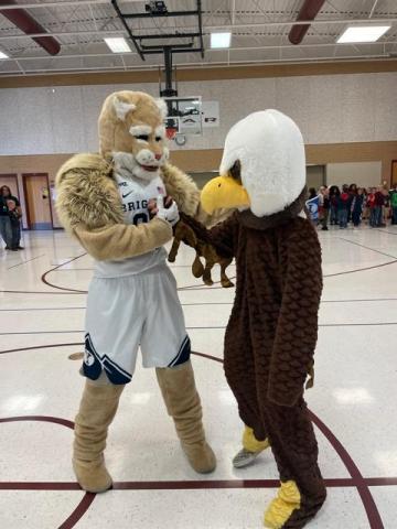 Cosmo and Eagle shaking hands