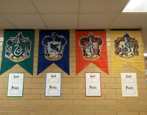 Harry Potter House flags with goals and points awarded. 